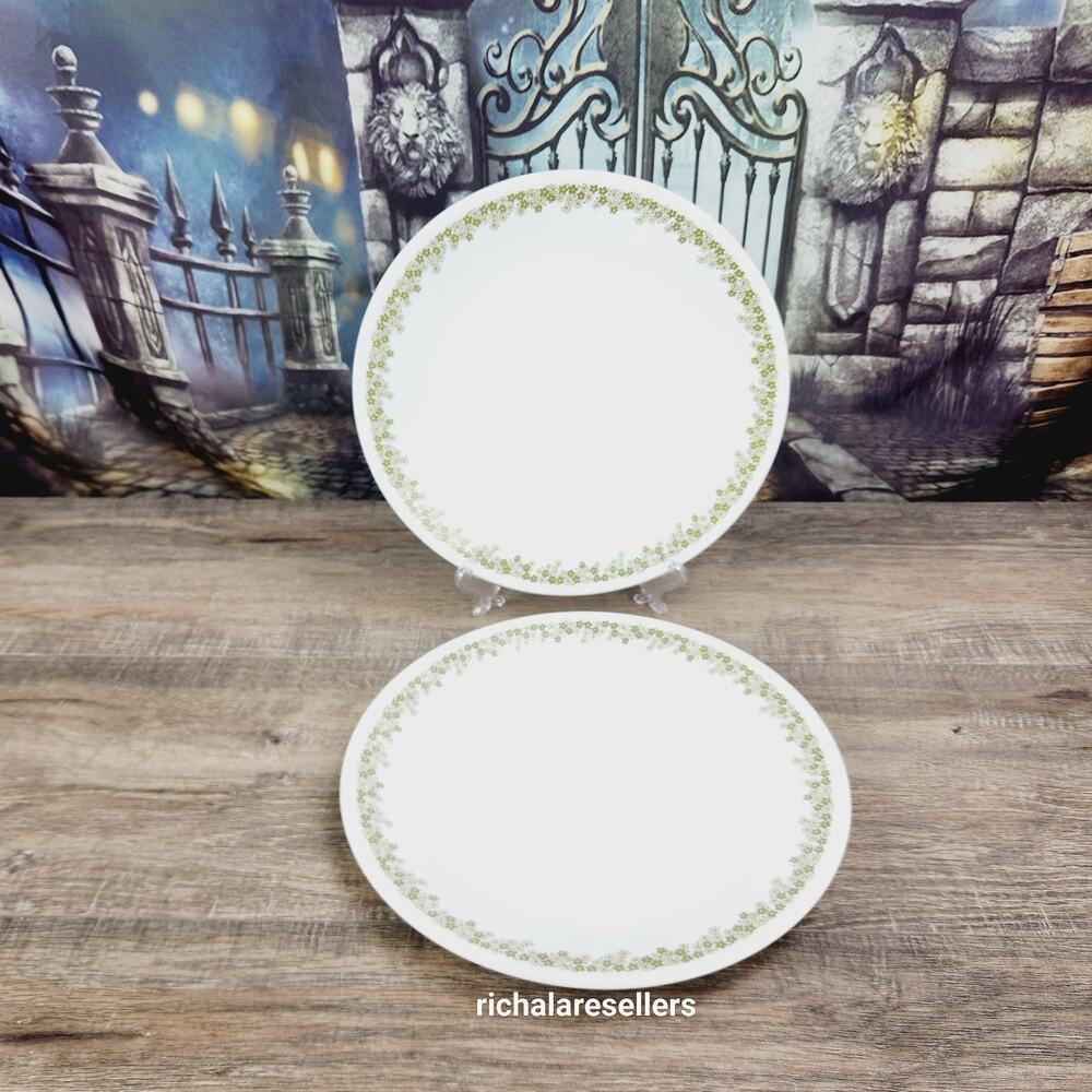 Corelle Spring Blossom 10 1/4 " Dinner Plates Lot of 2 Corning Vintage